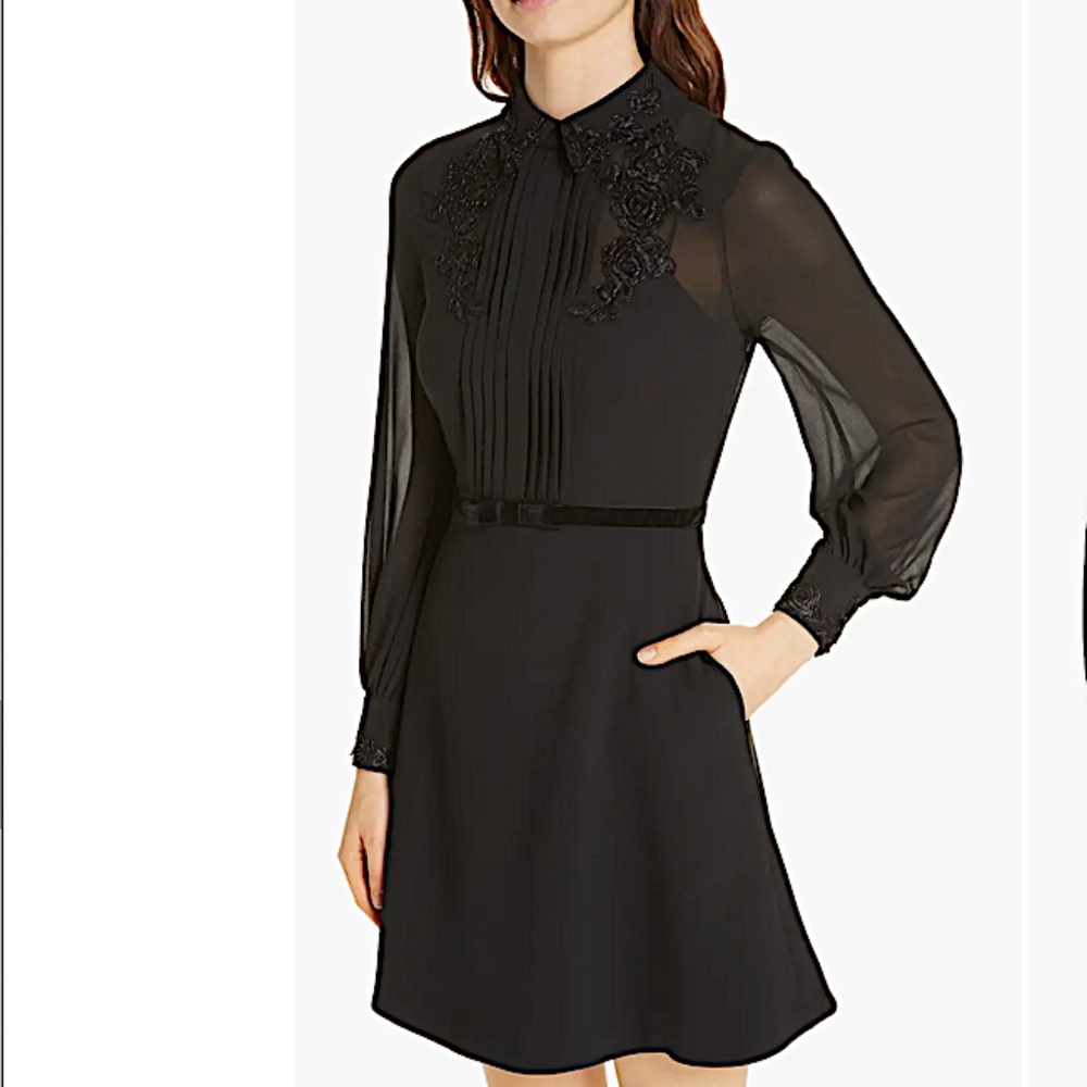 Amaali Lace Appliqué Fit & Flare Dress Ted Baker London